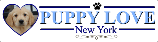 Puppy Love Logo