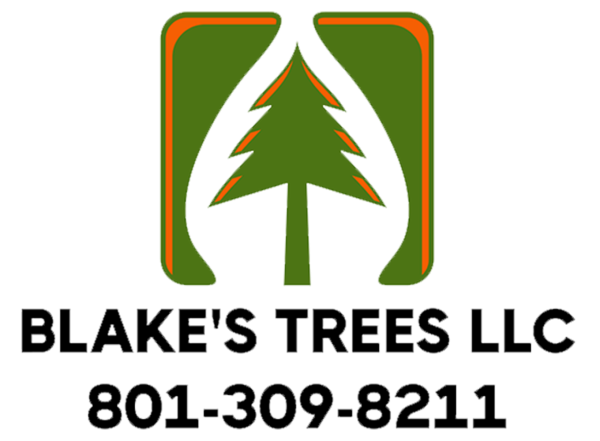 Blake's Trees, LLC Logo