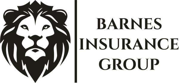 Barnes Insurance Group Logo