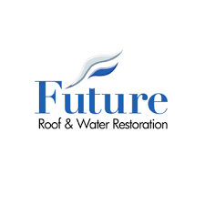 Future Roof and Restoration, LLC Logo