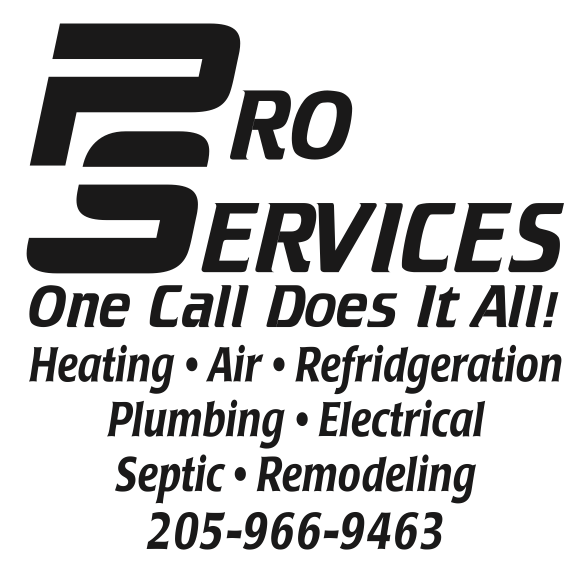 Pro Services, LLC Logo