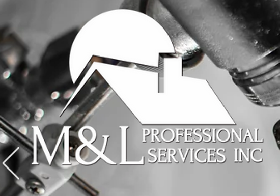 M & L Professional Service Inc Logo