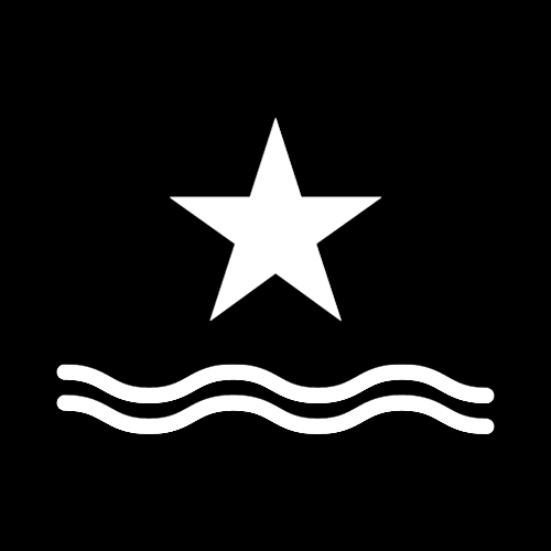 Lone Star Custom Pools Logo