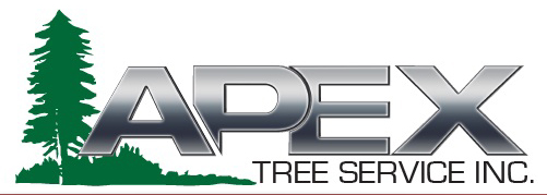 Apex Tree Service,  Inc. Logo