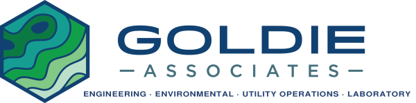 Goldie & Associates Logo