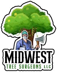 Midwest Tree Surgeons  Logo