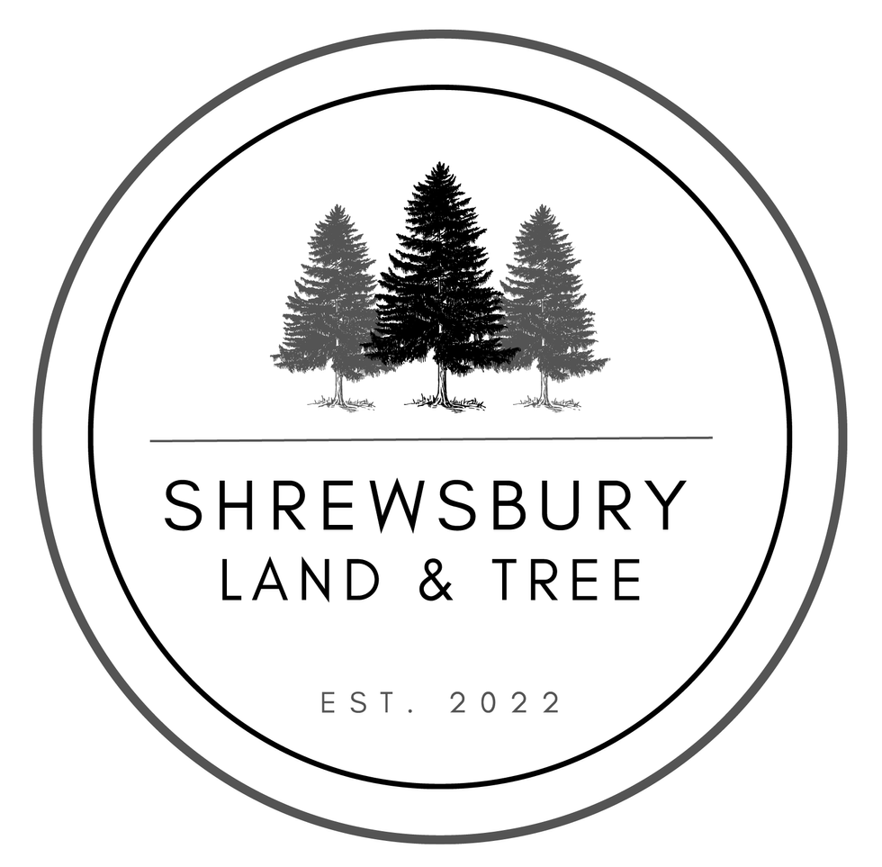 Shrewsbury Land and Tree  Logo