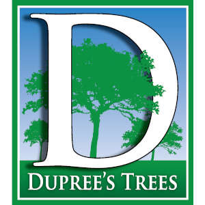 Duprees Trees, LLC Logo