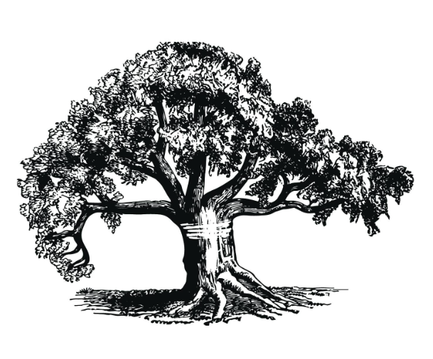 Eden Tree Care, LLC Logo