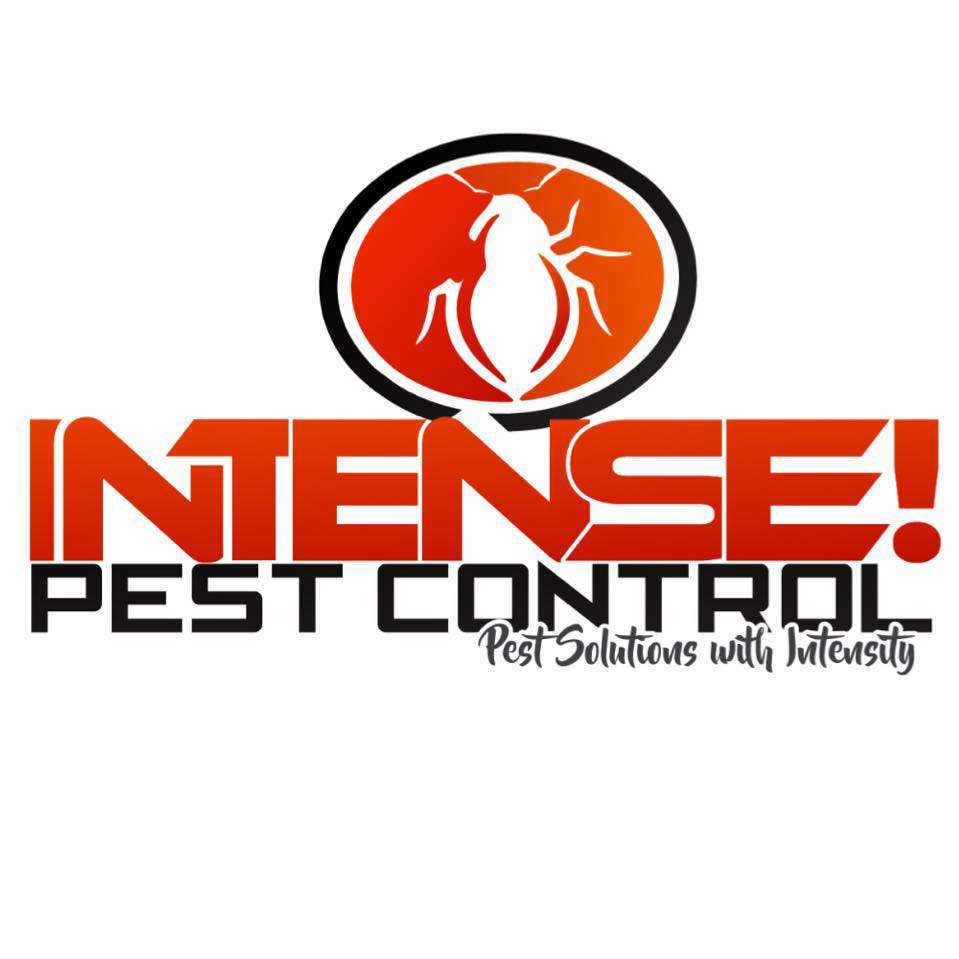 Intense! Pest Control LLC Logo