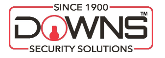 Downs Security Solutions Logo