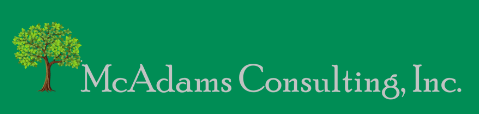 McAdams Consulting Inc Logo