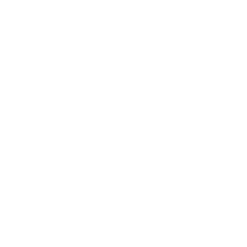 Bonita Tours LLC Logo