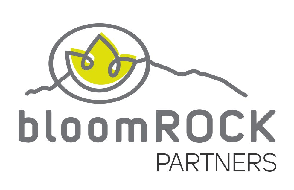 Bloomrock Partners Logo