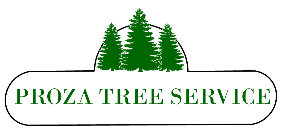 Proza Tree Service Logo