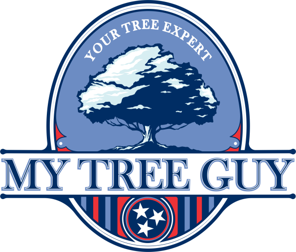 My Tree Guy, LLC Logo