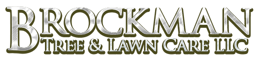 Brockman Tree & Lawn Care, LLC Logo