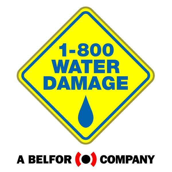 1-800 Water Damage of Rochester New York Logo