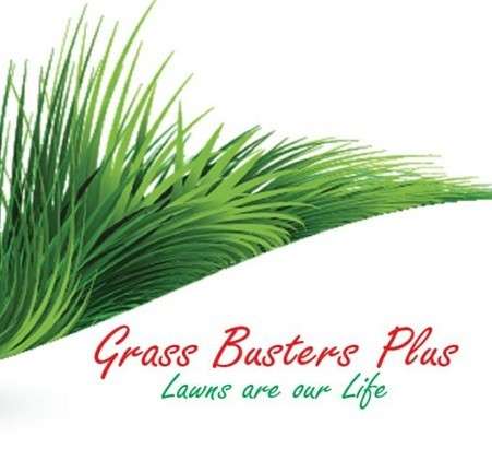 Grass Busters Plus Logo