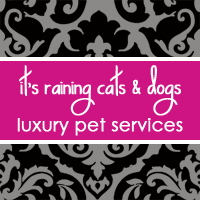 It's Raining Cats and Dogs Luxury Pet Resort Logo