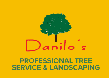 Danilo's Professional Tree Service & Landscaping Logo