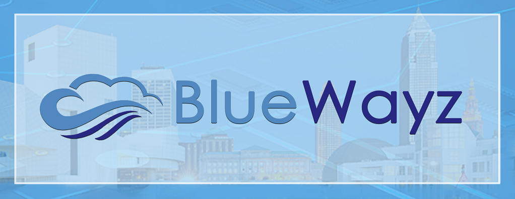 Bluewayz Corp Logo