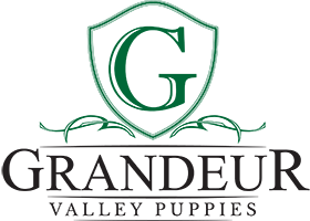 Grandeur Valley Puppies Logo