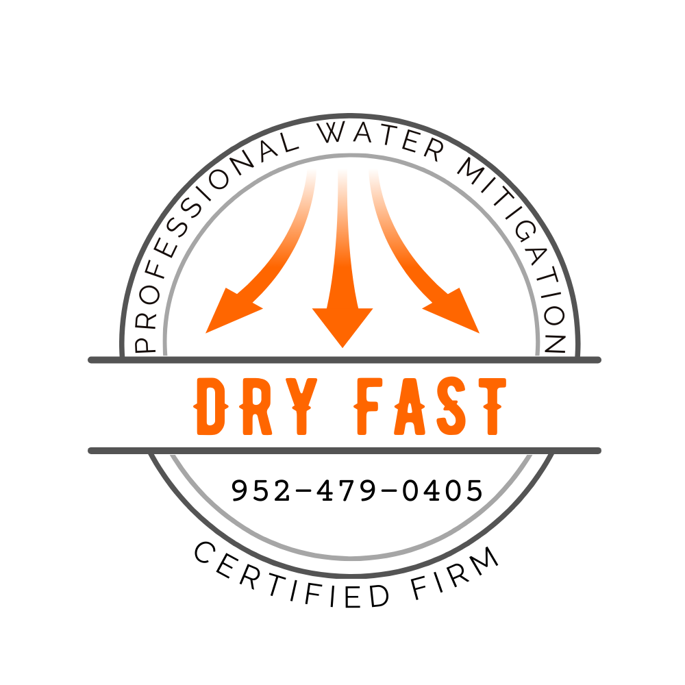 Dry Fast  Logo