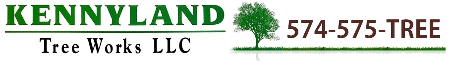 Kennyland Tree Works LLC Logo