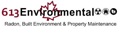 613Environmental Logo
