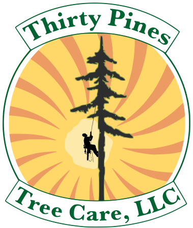 Thirty Pines Tree Care LLC Logo