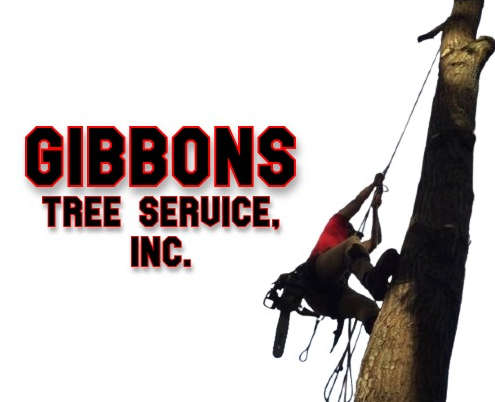 Gibbons Tree Service, Inc. Logo