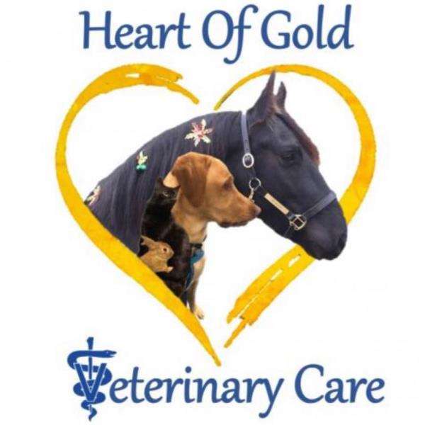 Heart Of Gold Veterinary Care, PLLC Logo