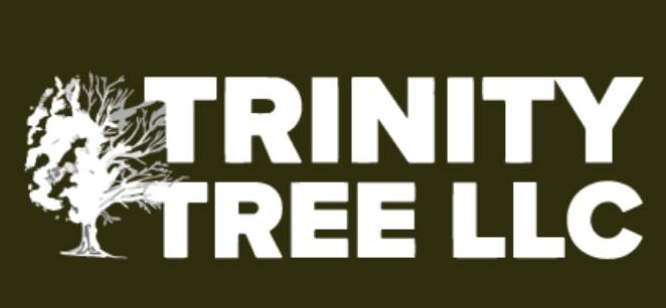 Trinity Tree LLC Logo