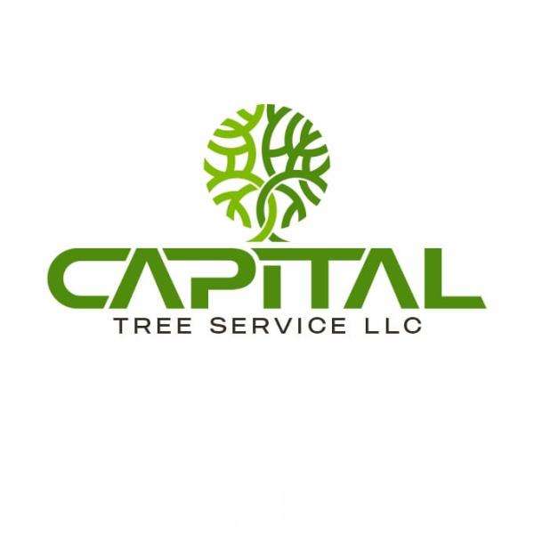 Capital Tree Service LLC Logo