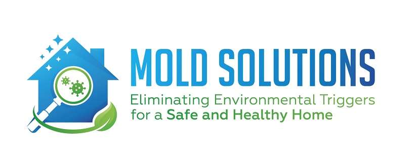 Mold Solutions Logo