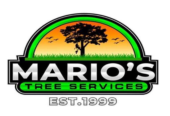 Mario's Tree Services Logo