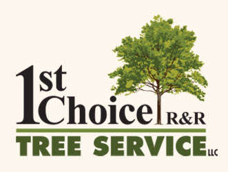 1st Choice R & R Tree Service Logo
