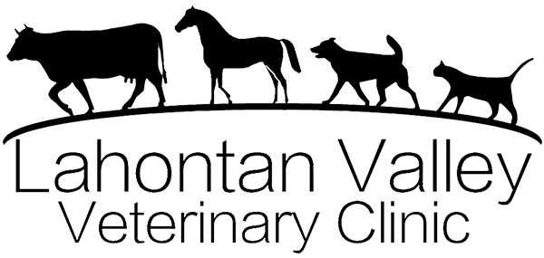 Lahontan Valley Vet Clinic Logo