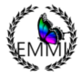 Essential Medical and Mental Health Institute Logo