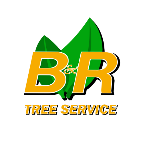 B&R Tree Service Logo