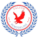 Falcon Remodeling Logo
