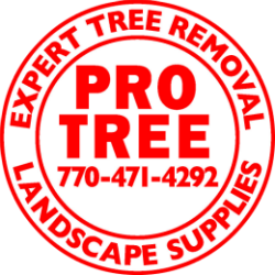 Pro Tree, Inc. Logo