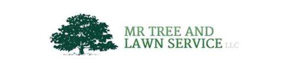 Mr. Tree and Lawn Service, LLC Logo