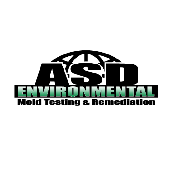 ASD Environmental Services Logo