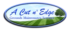 A Cut n' Edge, LLC Logo