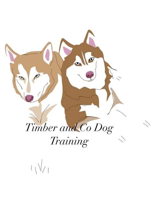 Timber and Co Dog Training Logo