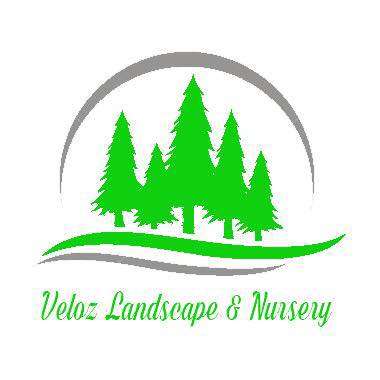 Veloz Landscape & Nursery Logo