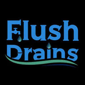 Flush Drains Logo