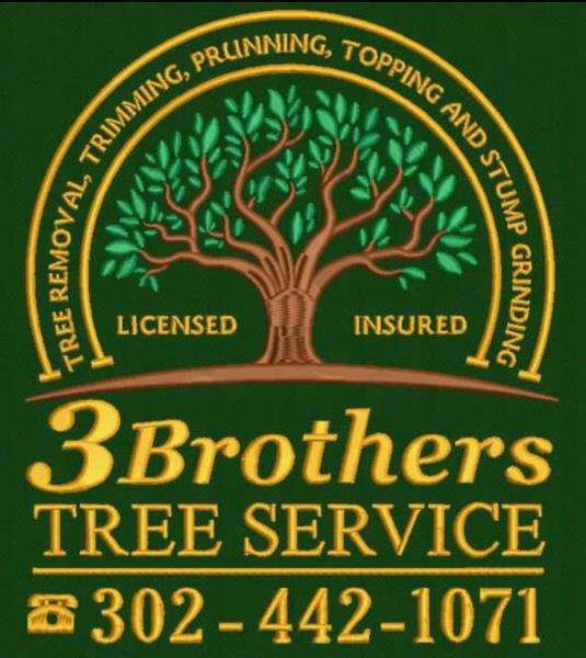 3 Brothers Tree Service Logo